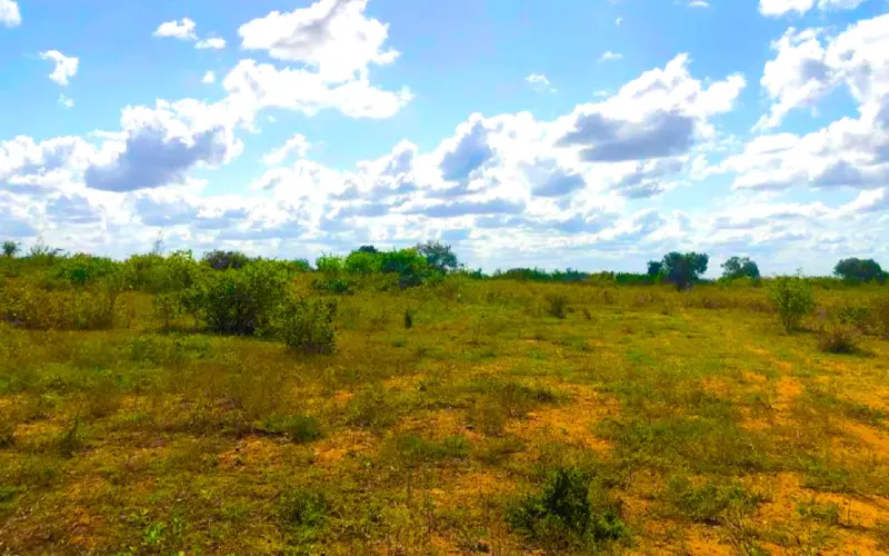 Diaspora Gardens Malindi Phase 1 plots