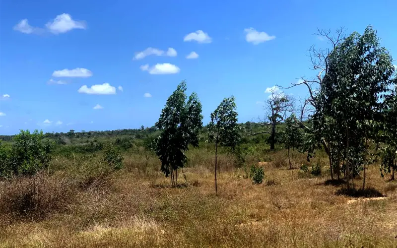 Diaspora Gardens Malindi Phase 1 photo 2